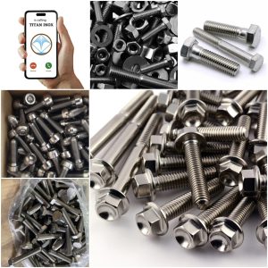 bulong inox m10